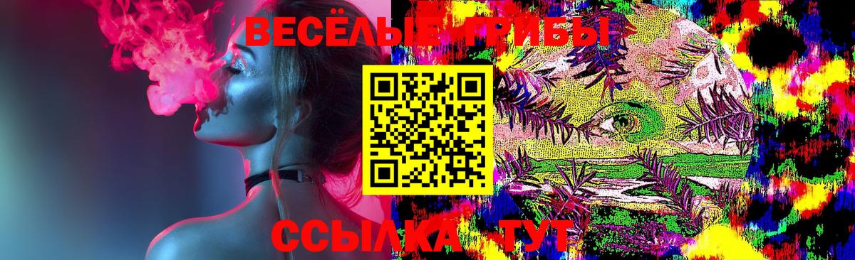 Псилоцибиновые грибы Psilocybe Сызрань