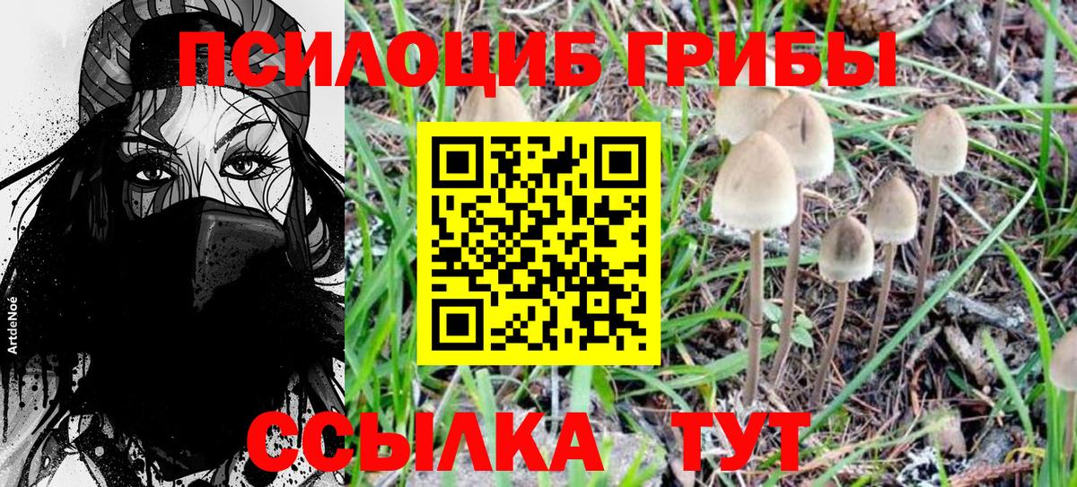 Сызрань  Галлюциногенные грибы Magic Shrooms  Галлюциногенные грибы Magic Shrooms  Вход с VPN 